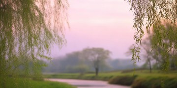 铁岭人的温柔究竟是哪首歌？