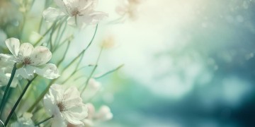 这是有缘人的缘究竟是哪首歌？