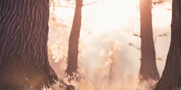 阳光中的黑白灰究竟是哪首歌？