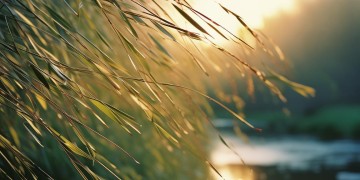 柳岩最感人的歌究竟是哪一首？