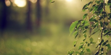 我也想时光能倒流究竟是哪首歌？