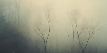 是不是歌词的伤感歌曲有哪些呢？