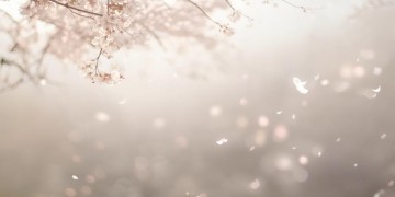 无怨无悔没有伤悲究竟是哪首歌？