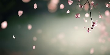 我会流泪这句歌词出自哪首歌？