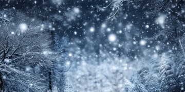 踏雪这首歌究竟代表什么意思？