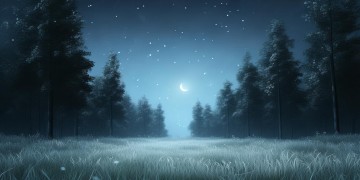 简朴的夜究竟是什么歌？