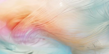 女歌手送给大家的歌究竟叫什么？