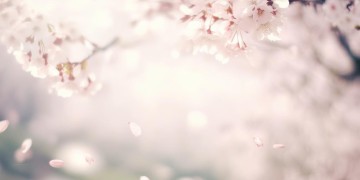 一定爱你很深这句歌词出自哪首歌？