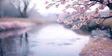 江歌生前究竟喜欢什么？